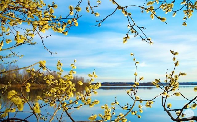 Ливнями и небольшим похолоданием запомнится первая неделя апреля жителям Ростовской области