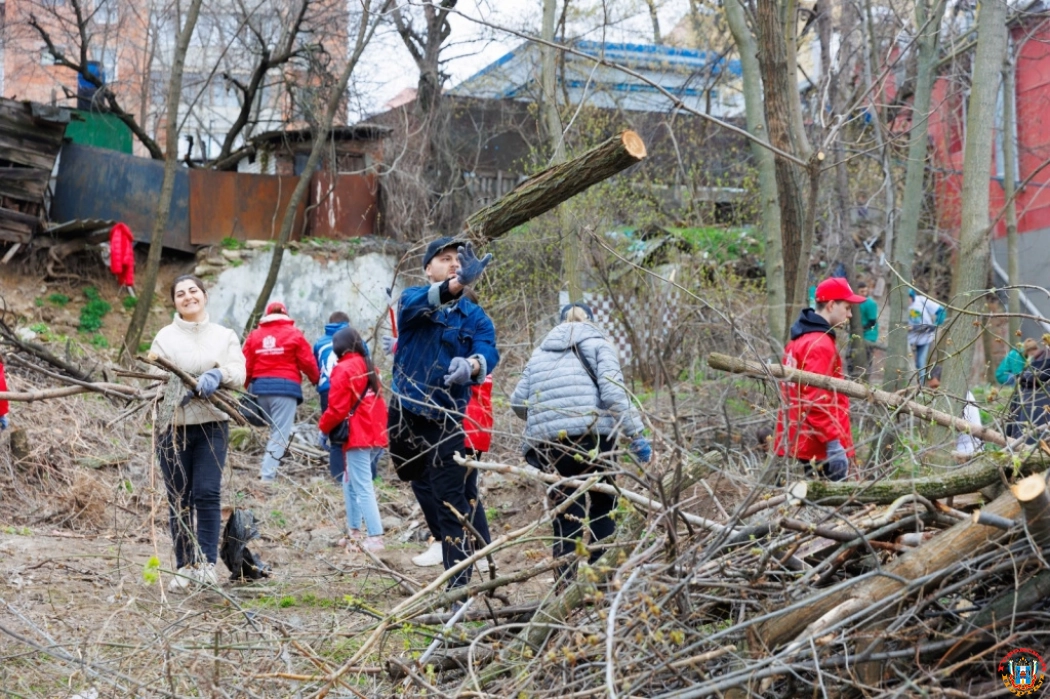 В Ростове во время массового субботника вывезли более 300 тонн мусора