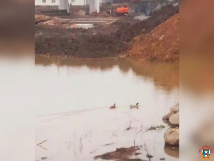 В Ростове затопило новый мост на улице Малиновского