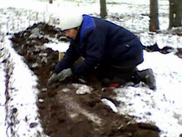 Цветы в снег высадили под Ростовом к приезду большого начальства Цветы в снег высадили под Ростовом к приезду большого начальства