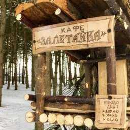 Гостеприимное кафе "Залетайка" для пернатых и пушистохвостых удивило ростовчан своей крутой креативностью