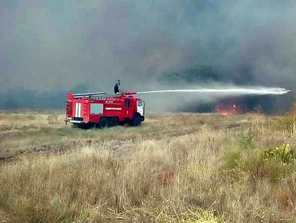 Масштабный лесной пожар продолжает разрастаться в Ростовской области