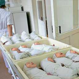 В Ростовской области женщины стали меньше рожать