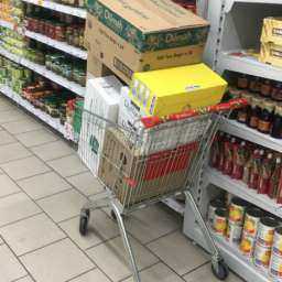 Посетителям ростовского супермаркета пришлось носить покупки в руках
