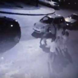 Агрессивный бойцовский пес погрыз мужчину и довел его детей до психоза во дворе Ростова