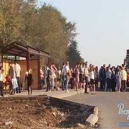 Из-за "километровой" очереди на остановке ростовчане не попадают на работу вовремя