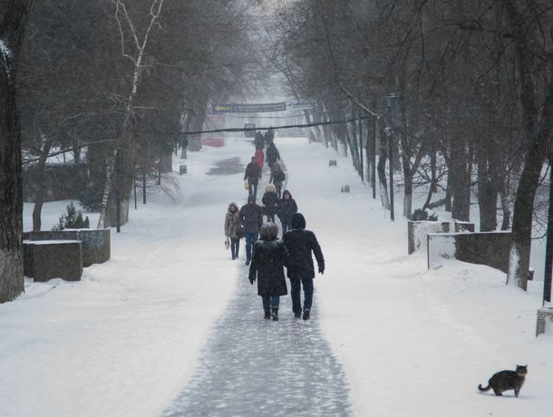 От дождя к снегу: неустойчивая погода собьет с толку ростовчан в среду