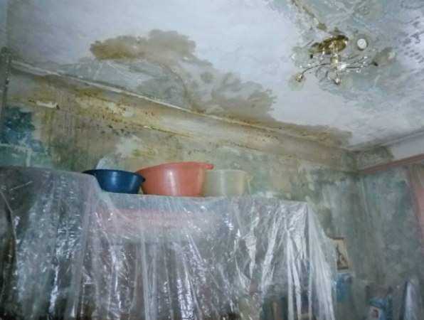 В центре Ростова жильцов бросили зимовать в квартирах с плесенью и грибами в доме без крыши