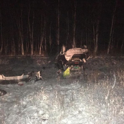 Перевернулся автомобиль: в Ростовской области двое детей пострадали при ДТП
