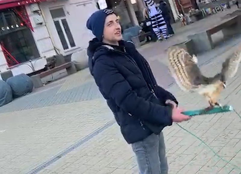 Неадекватное поведение мужчины с совой в центре Ростова попало на видео