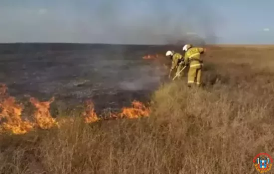 9 и 10 мая прогнозируют чрезвычайную пожароопасность в Ростовской области