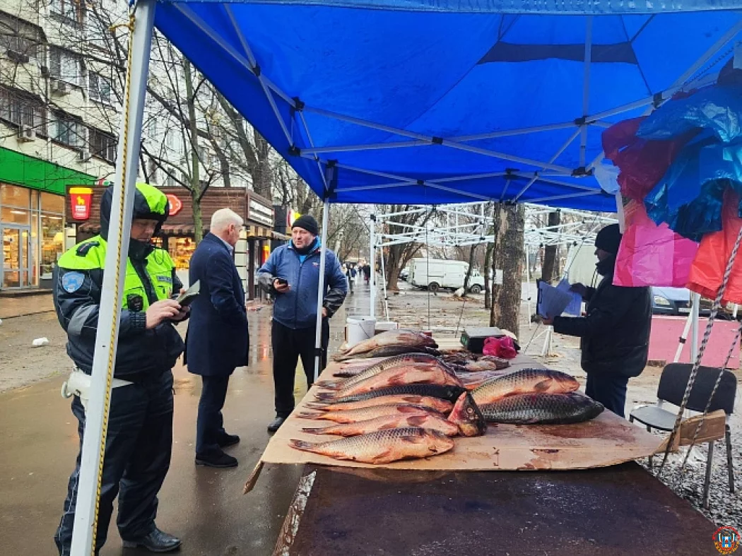 Камеры в Ростовской области выявили более 100 точек нелегальной торговли