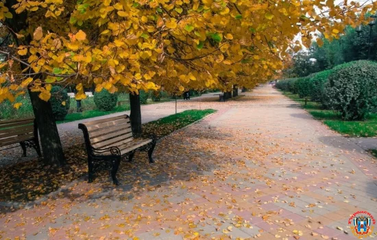 Погода на 21 ноября в Ростове и области: Тепло и малооблачно