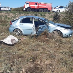 Водитель Chevrolet погибла в аварии в Ростовской области из-за залетевшей в окно осы