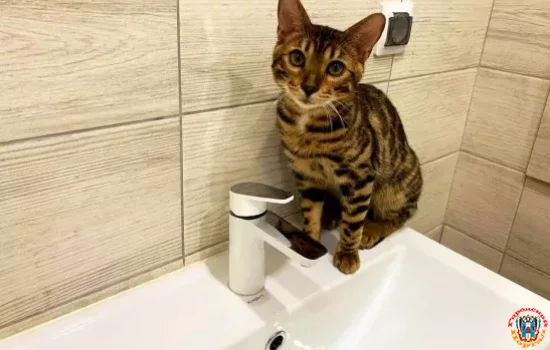 Сроки подачи воды в Советский район сорвали 4 июня