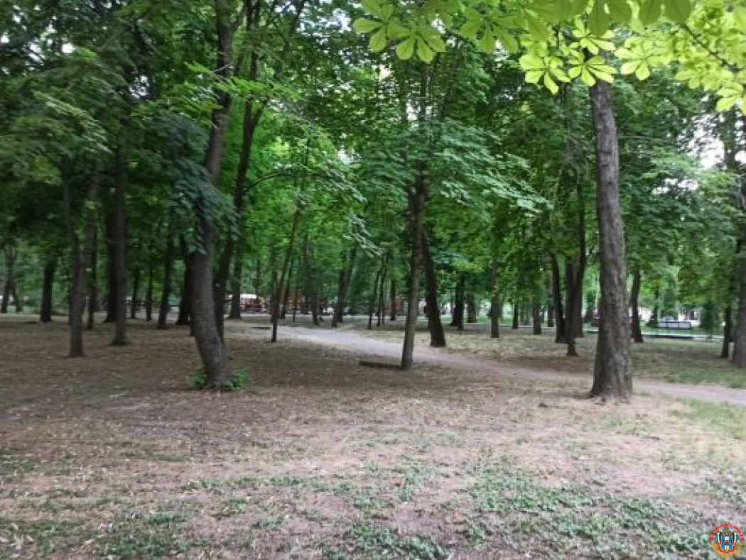 В Ростове не нашлось желающих сделать новые аллеи в парке Островского