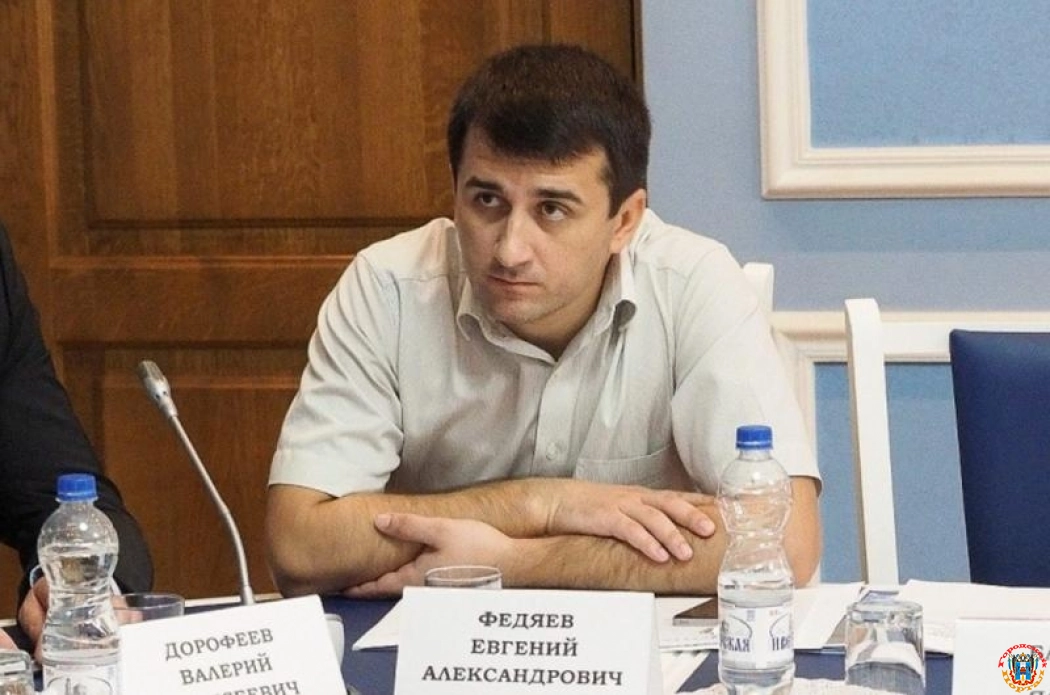 Депутата ЗС Ростовской области наказали за критику регионального фонда помощи мобилизованным
