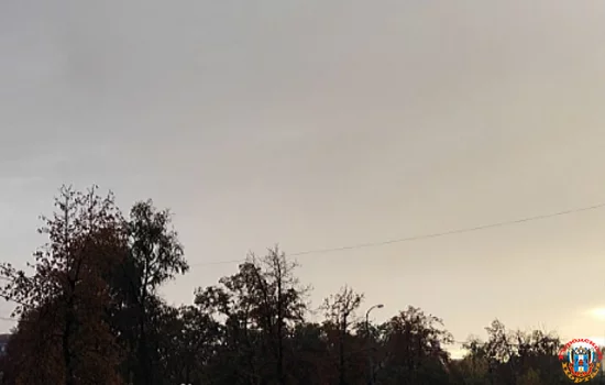 До +7 градусов похолодание и пасмурная погода ожидается на выходных