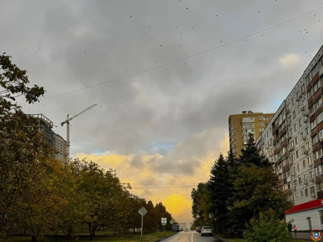 После аномального потепления в конце ноября резко похолодает После аномального потепления в конце ноября резко похолодает