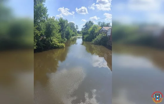 В Красном Сулине передадут в Росприроднадзор факт загрязнения реки Гнилуша