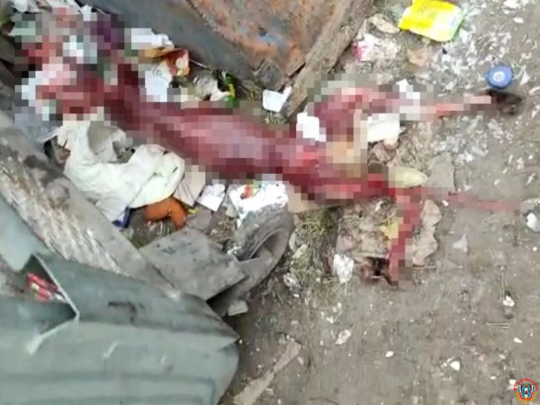 В Шахтах живодеры содрали с собаки шкуру, отрезали уши и выбросили на мусорку