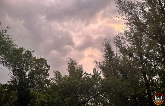 Жителей Ростова предупредили о штормовом ветре с 23 по 25 августа