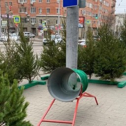 Незаконную торговлю елками пресекли в центре Ростова-на-Дону