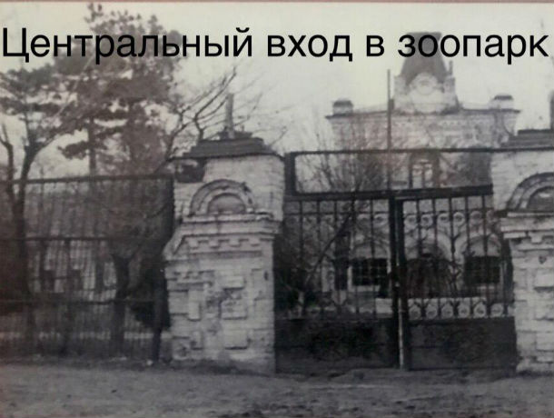 Ростовчане смогут узнать все тайны ростовского зоопарка в годы войны Ростовчане смогут узнать все тайны ростовского зоопарка в годы войны