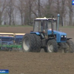 В Ростовской области яровыми культурами засеяли около 70% площадей