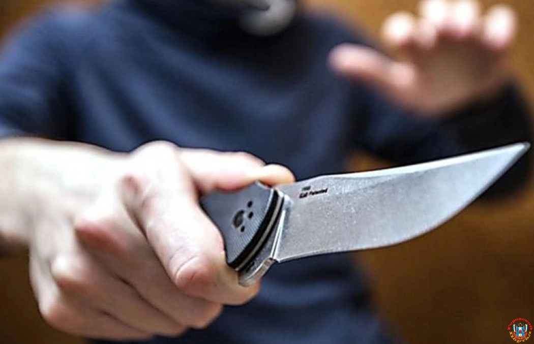 В Ростовской области напавшего на полицейских мужчину хотят отправить в психбольницу