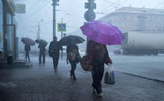 Дожди в Ростовской области будут лить все выходные