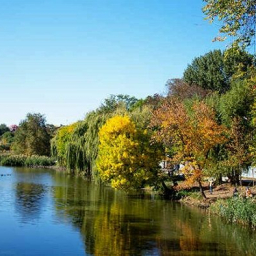 Власти Ростовской области отвели под жилую застройку на берегах Темерника 16 зон