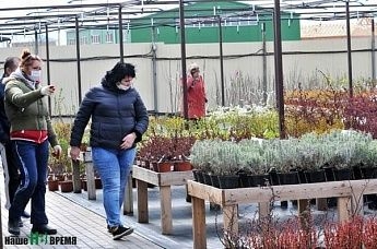 Садово-огородные товары в Ростовской области приравняли к товарам первой необходимости