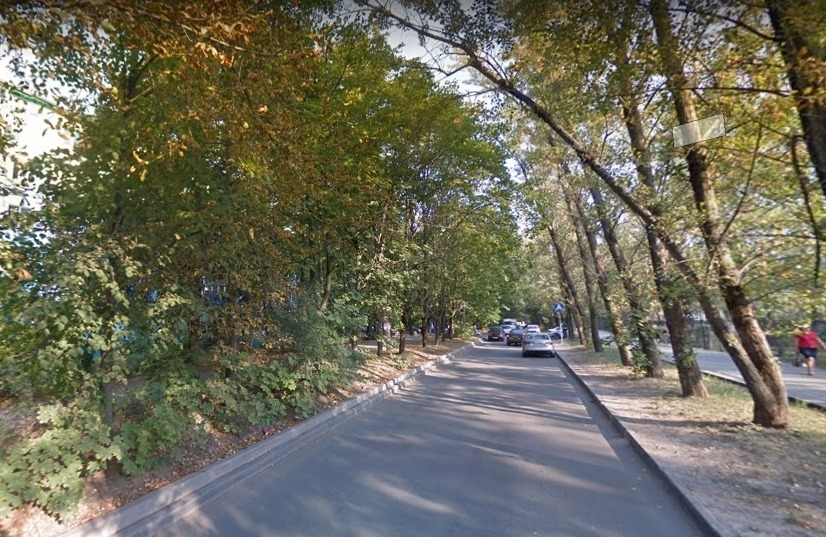 В Ростове на проспекте 40-летия Победы могут спилить почти 200 деревьев