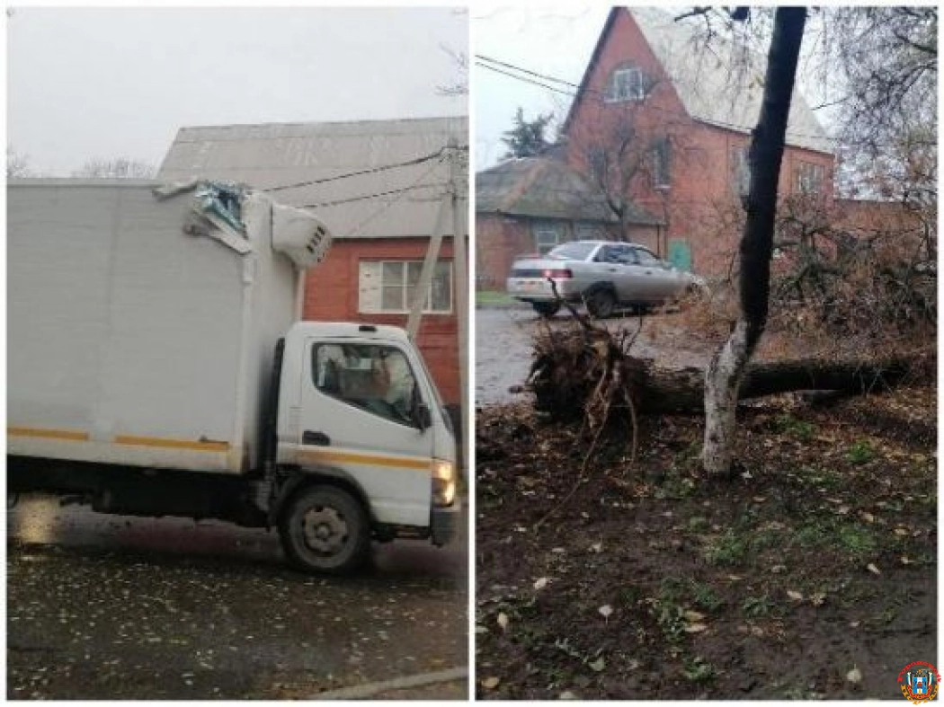 В Ростове на Западном водитель грузовика повалил дерево