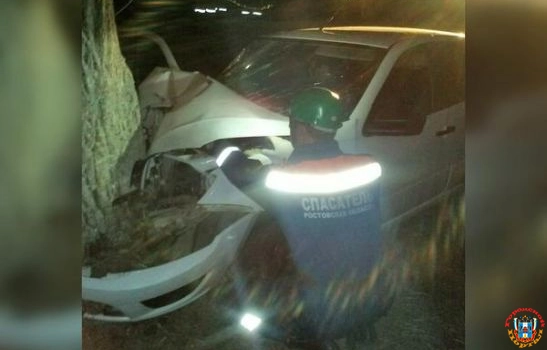 В Ростовской области от столкновения с деревом пострадал пассажир «ВАЗа»