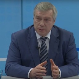 Губернатор Ростовской области попытался рассказать, почему в регионе так медленно снимают ограничения