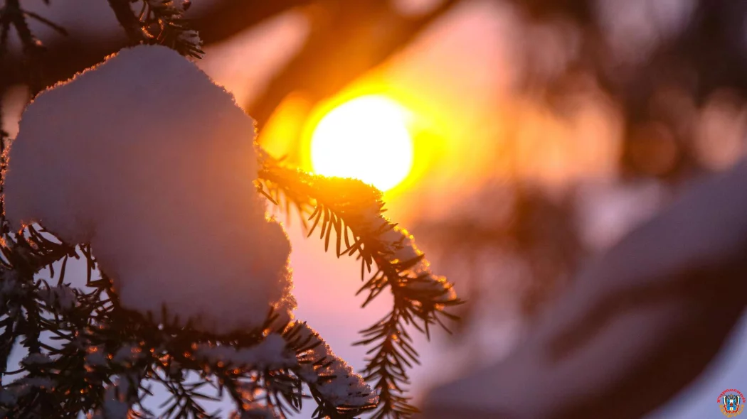 Почти 8 часов продлится самый короткий день в Ростовской области