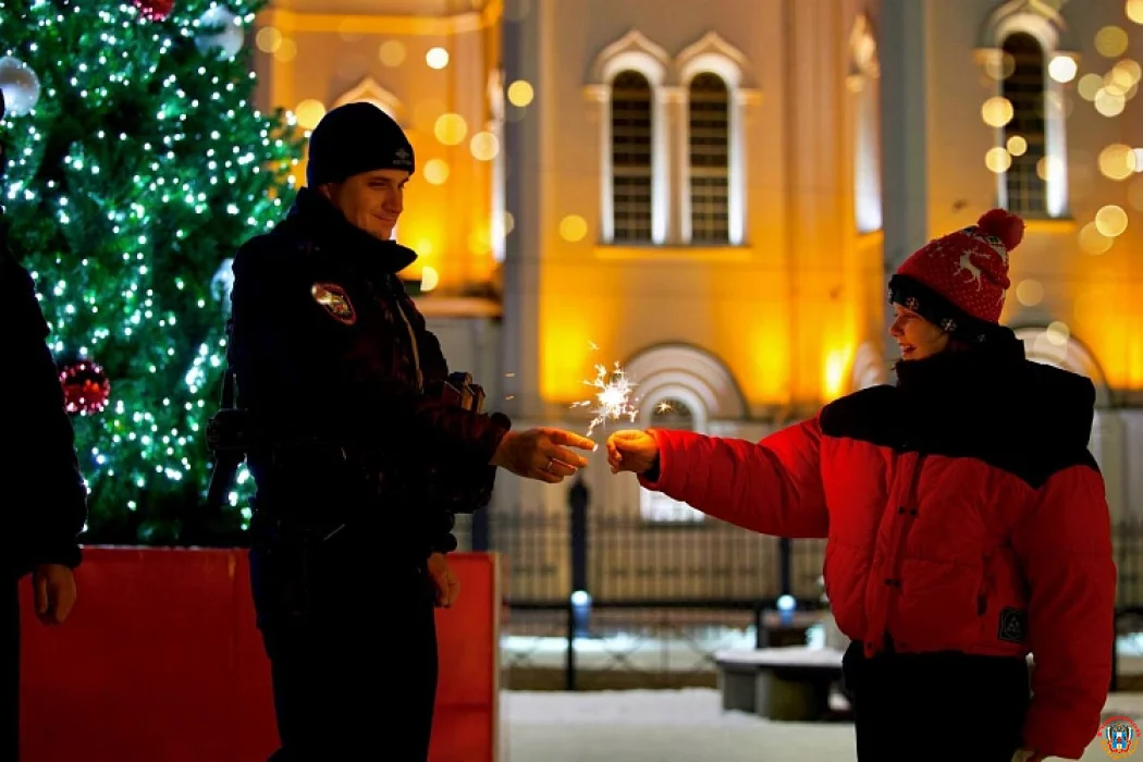 Праздники на Дону прошли спокойнее: полиция зафиксировала двукратное снижение преступности