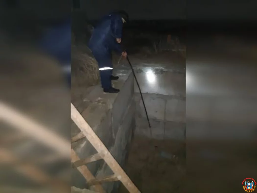 В Ростовской области пес упал в глубокую яму