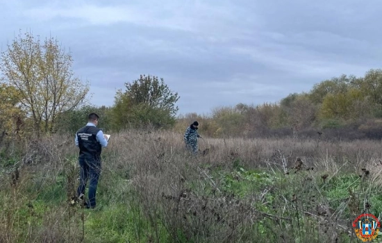 В Ростовской области убили 12-летнюю девочку