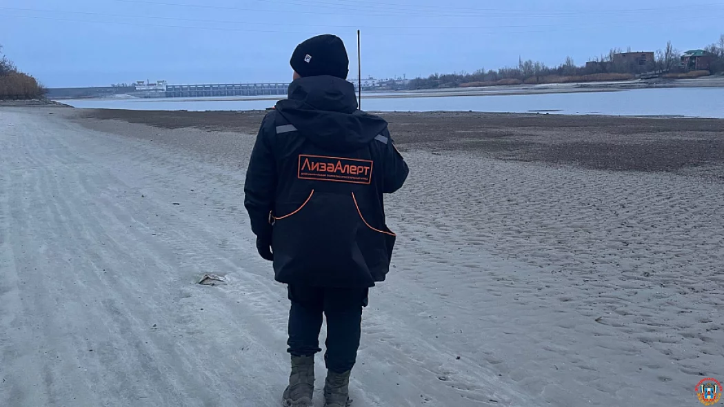 Февральские поиски на Дону: волонтеры &laquo;ЛизаАлерт&raquo; подвели итоги месяца и спасли 46 жизней