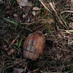 Жители Ростова нашли на Левом берегу гранату времен ВОВ