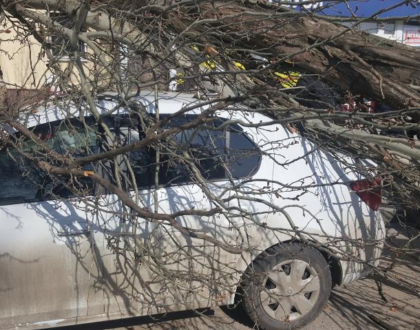Ростовчан предупреждают о резком усилении ветра