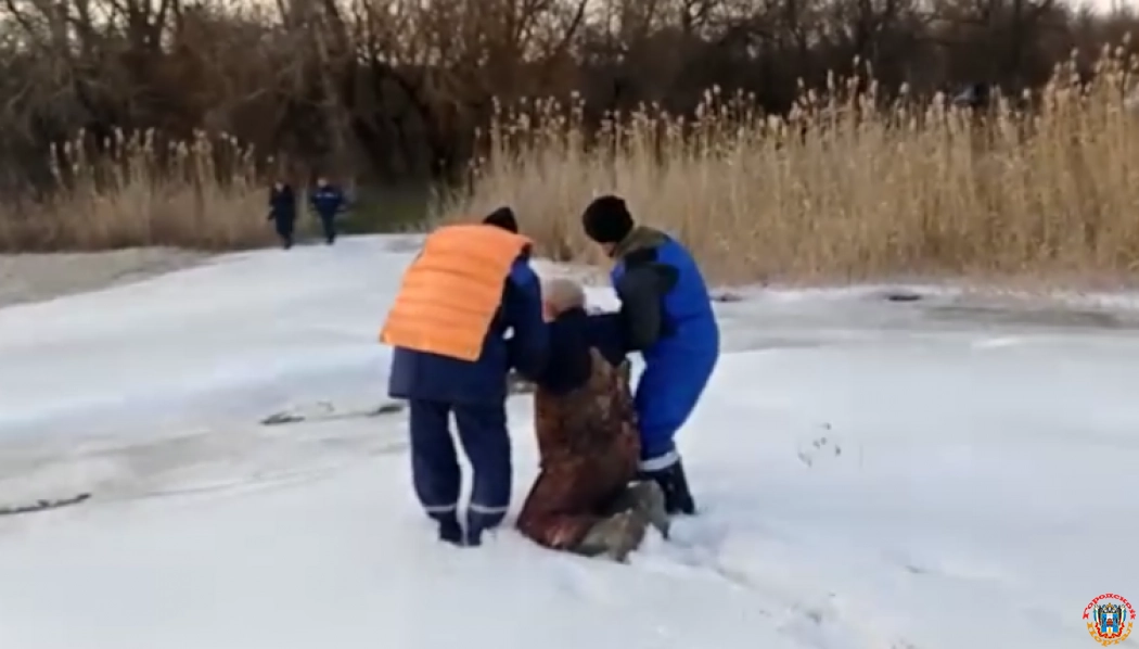 В Ростовской области рыбак едва не утонул, провалившись под лед
