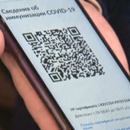 QR-коды отменили в Тульской области
