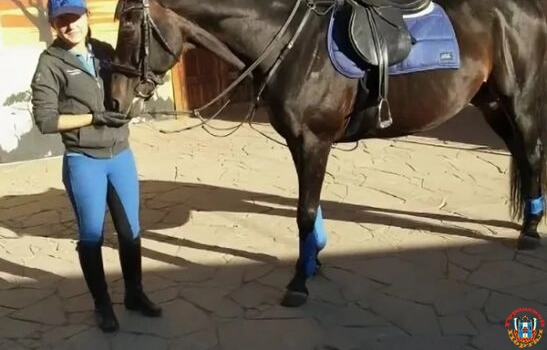 В Ростове мать и дочь пытались избежать наказания за жестокое обращение с животными