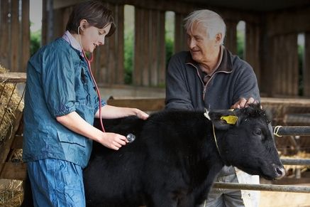 На Дону началась весенняя кампания по массовым ветеринарным обработкам домашнего скота и птицы