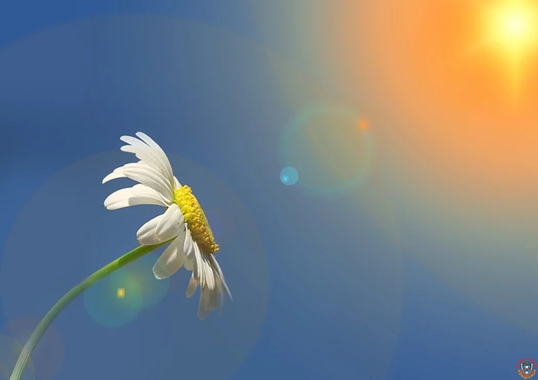 Жара до&nbsp;+34 градусов ожидает ростовчан во&nbsp;вторник