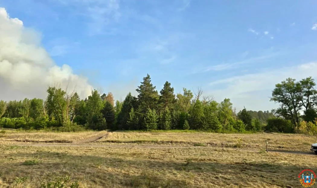 14 тонн воды на очаг возгорания в лесхозе сбросил вертолёт Ми-8 МЧС России